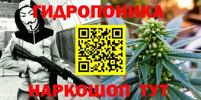 спайс Моздок