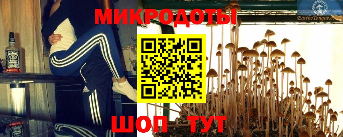 Псилоцибиновые грибы Cubensis  Вход с VPN  Волгоград 